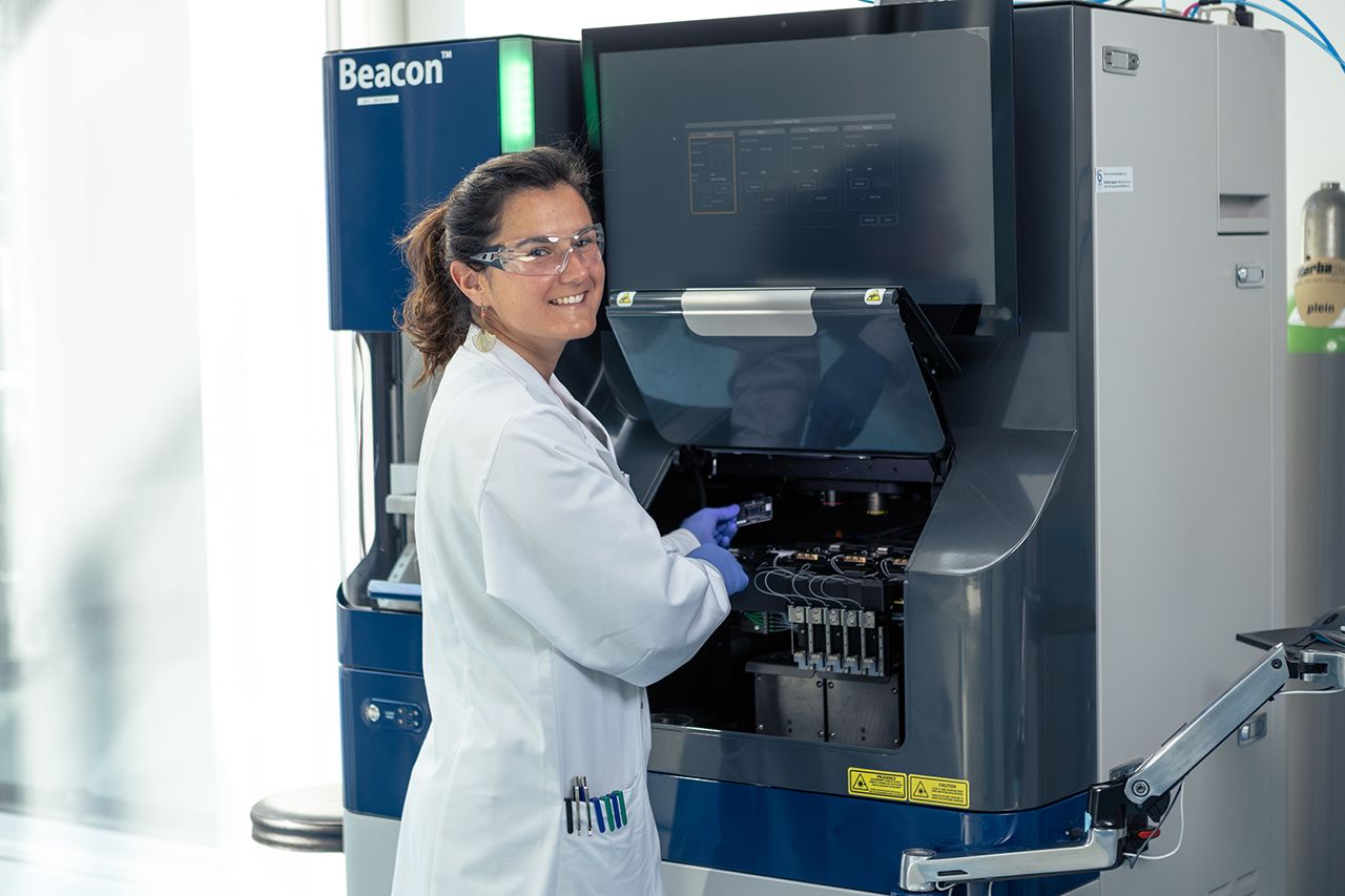 Optimizing Cell-Line Developing for Antibody Derivatives