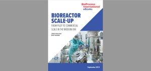 eBook: Bioreactor Scale-Up: From Pilot to Commercial Scale in the Modern Era