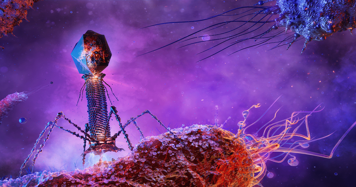 Where Is Phage Therapy Heading?