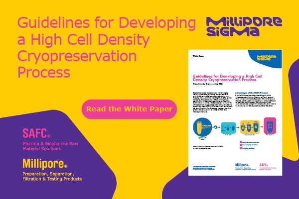 Guidelines for Developing a High Cell Density Cryopreservation Process