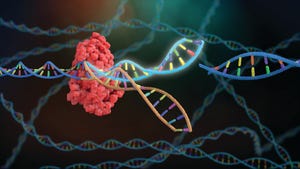 Genome Editing for Cell-Line Development