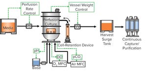 Continuous Biomanufacturing Implementation: Using an Intensified and Integrated Bioprocess Platform