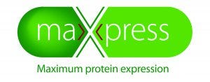 maXxpress-logo-300x117.jpg