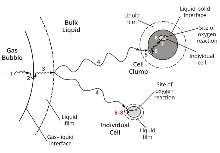 22-10-Chaudhry-Fig1.jpg 22-10-Chaudhry-Fig1.jpg