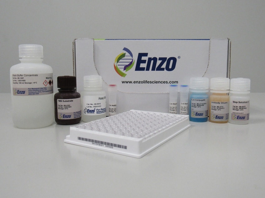 Enzo Life Sciences Launches New Immunoassay to Detect Low Levels of IL-6