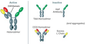 Capture of CH1-Containing Bispecific Antibodies: Evaluating an Alternative to Protein A