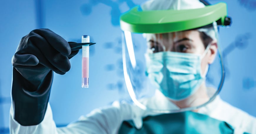 Cell Bank Stability During Storage and Handling - BioProcess International