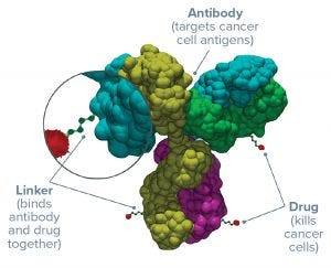 17-5-ADC-Scott-Fig1-300x243.jpg