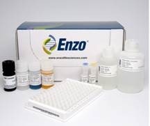 Enzo Expands Immunoassay Offerings with Proinsulin and Insulin ELISA Kits