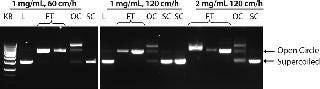 BPI_A_100811AR06_O_111157b.jpg BPI_A_100811AR06_O_111157b.jpg