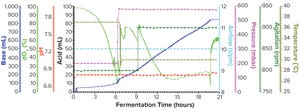 Oxygen Control Strategy and Yield of Recombinant Antibody Fragments Produced in Fermentation