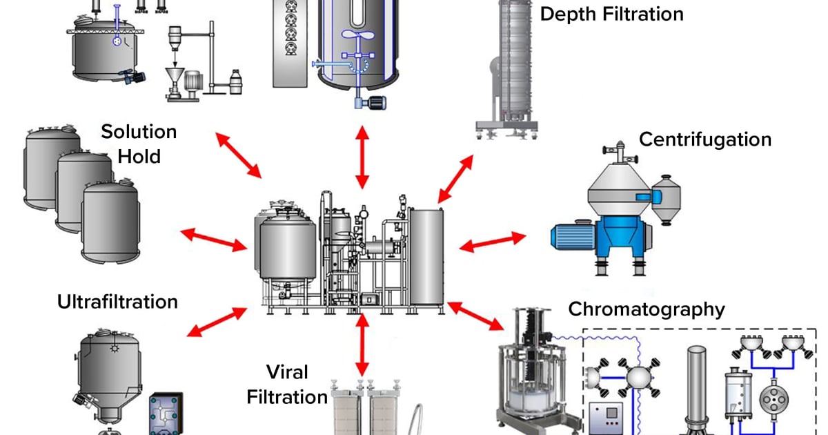 Clean Phase Shared Clean-in-Place Systems and Viral Risk - BioProcess International