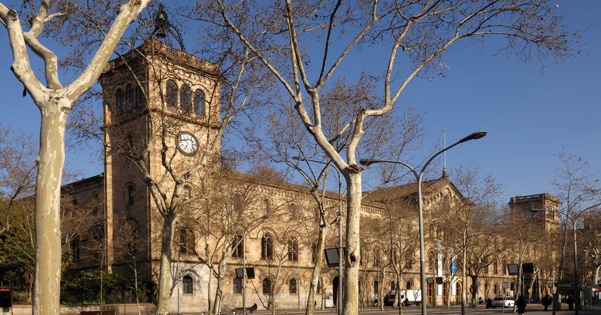 Democratizing CAR-T therapies: the Spanish model for increasing public access