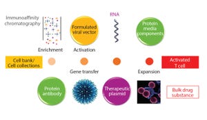 Manufacturing Plasmid DNA: Ensuring Adequate Supplies for Gene and Cell Therapies