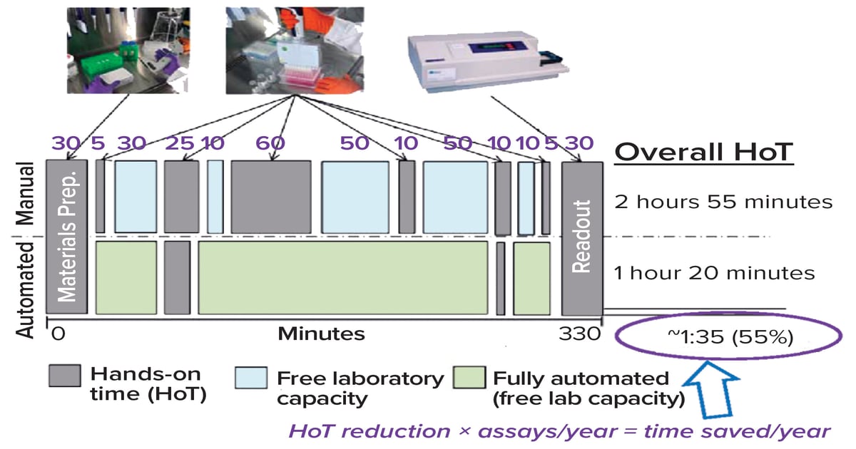 Automation of Potency Assays: Strategies - BioProcess International
