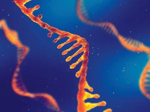 Targeting RNA: How Epitranscriptomics Can Improve Productivity