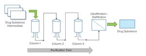 Development of a Stand-Alone Monitoring Application for Purification Processes in Biomanufacturing