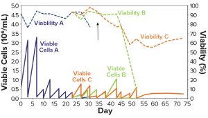 Streamlined Serum-Free Adaptation of CHO-DG44 Cells - BioProcess ...