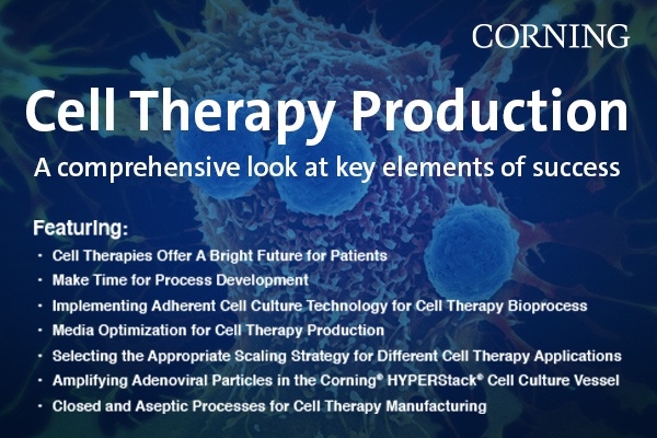 Cell Therapy Production: A Comprehensive Look at Key Elements of Success