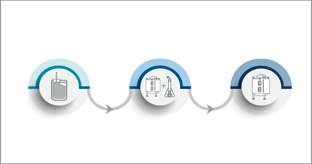 Upstream Process Intensification Through N-1 Perfusion