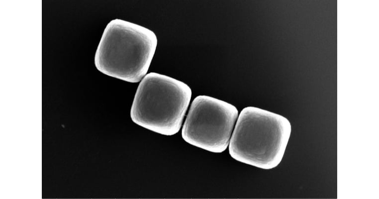 Synthetic Building Blocks Developed from Tiny Glass Particles