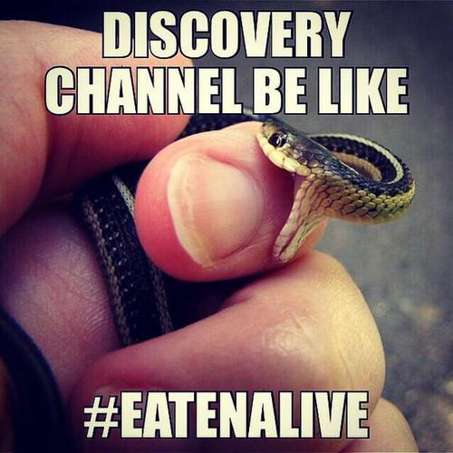 Eaten Alive is Everything Wrong with Popular Science