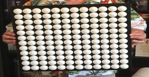 mox-0005-02-max-maxfield-with-12x12-ping-pong-ball-array_1540-800.jpg