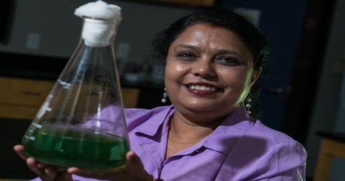 Update: More About Algae, Pollution & Biofuel