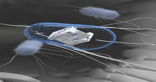 Synthetic, 'Smart' Cells Can Remember, Respond to Events