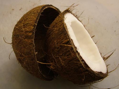 Coconut & Fabrics Improve Biocomposites