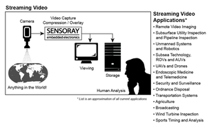 Streaming Video Versus Machine Vision: How Do They Compare?