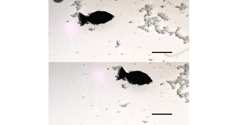 Fish-Shaped Robots Clean Microplastics from the Ocean