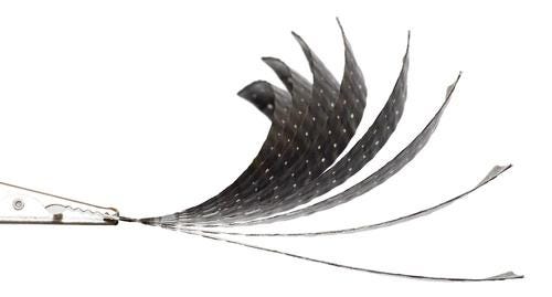 MIT-4DP-carbon-fiber.jpg MIT-4DP-carbon-fiber.jpg