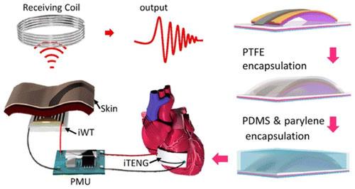 Nanogenerator Powers Implantable Heart Monitor in Live Animal