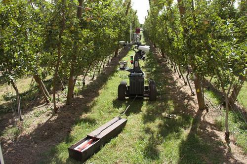 Australian Researchers Develop Robots to Improve Agriculture