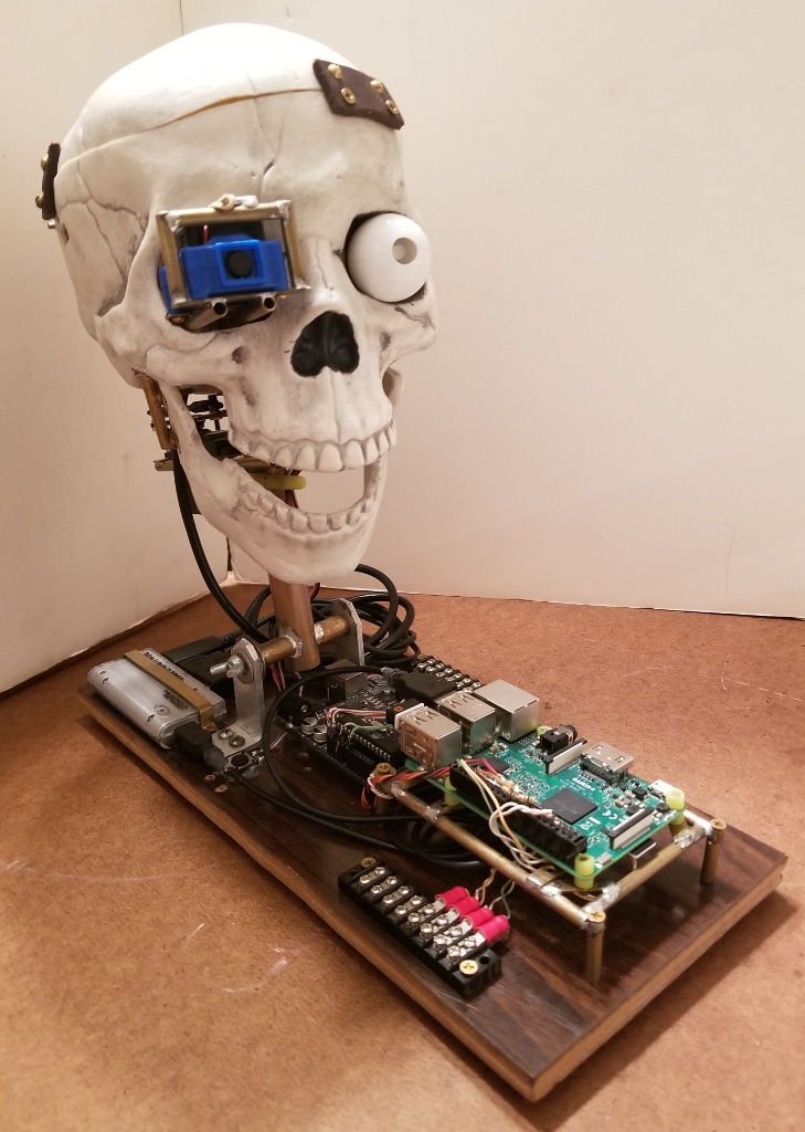 Inexpensive Robot Skull Sees, Talks, Identifies