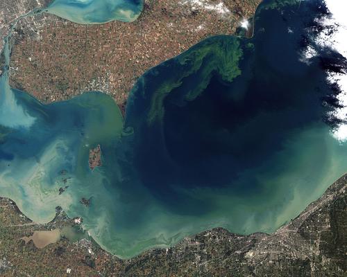 Toxic-Algae-Bloom-in-Lake-Erie.jpg