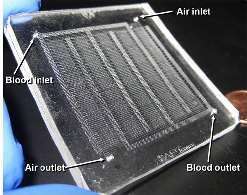 Artificial Lung Is Microfluidics Marvel