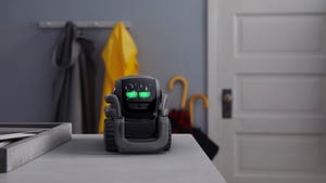 Lessons After the Failure of Anki Robotics