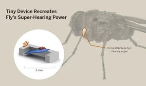 Fly Used as Model for Battery-Free, Intelligent Hearing Aid