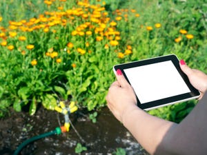 Technology continues to make gardening more pleasurable.