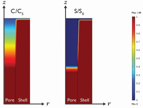 Simulating the Release Mechanism in Drug-Eluting Stents