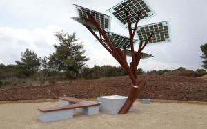 Solar Energy Does Grow on Trees