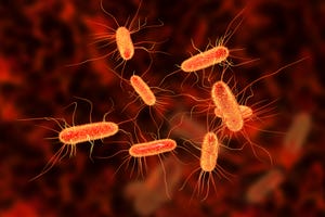 Polymer Can Kill Bacteria Without Creating Antibiotic Resistance/E. coli