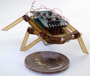 Cockroach-Inspired Robots Aimed at Disaster Recovery Scenarios