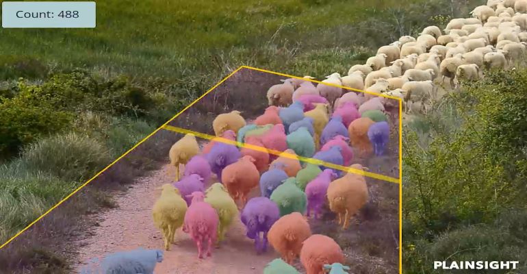 AI Vision Software Lends Smart Hand to Help Farmers Count Sheep