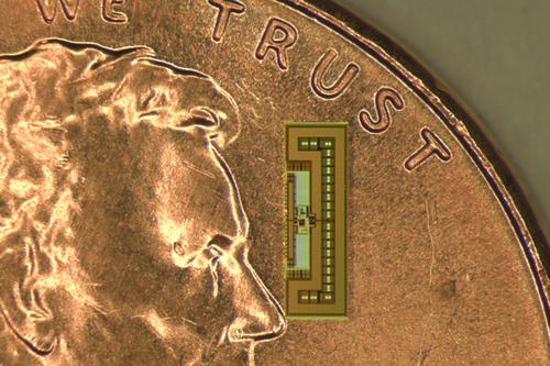 Battery-Free Power in Ant-Sized Chip
