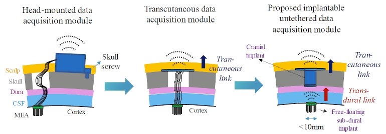 A New Generation of Miniature, Wireless, High-Density Brain
