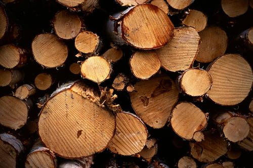 160708_399459.jpg 160708_399459.jpg