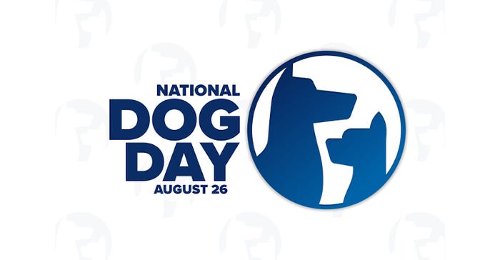 National-Dog-Day-GettyImages-1409566242.jpg